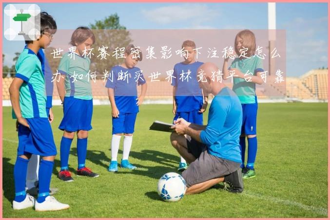 世界杯赛程密集影响下注稳定怎么办 如何判断买世界杯竞猜平台可靠