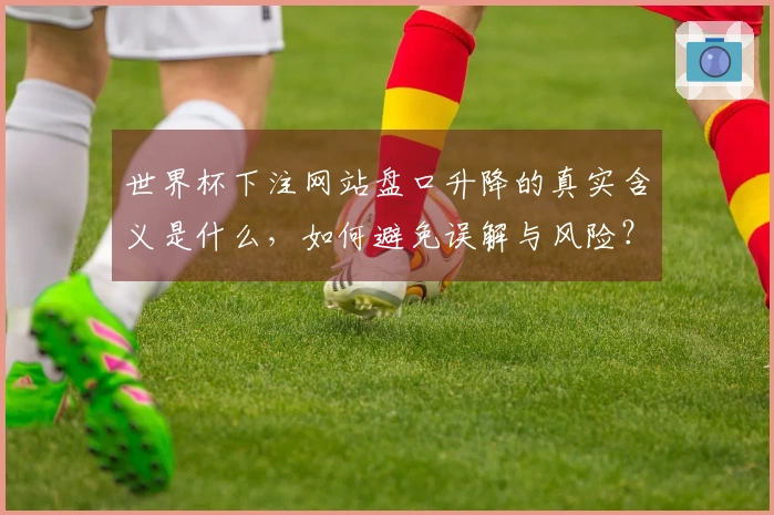世界杯下注网站盘口升降的真实含义是什么，如何避免误解与风险？