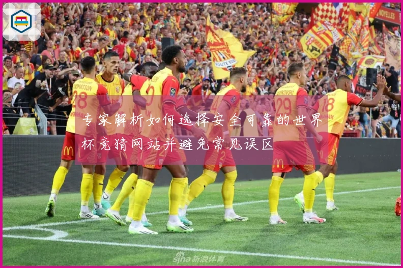专家解析如何选择安全可靠的世界杯竞猜网站并避免常见误区