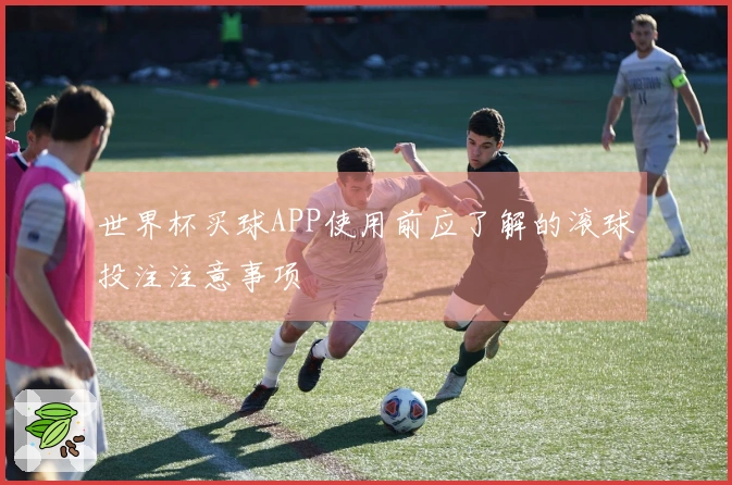 世界杯买球APP使用前应了解的滚球投注注意事项