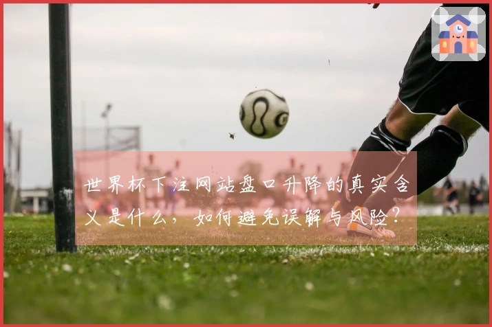 世界杯下注网站盘口升降的真实含义是什么，如何避免误解与风险？